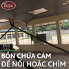 Máng Ăn cho Vịt Tự Động