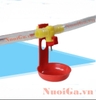 máng nước tự động