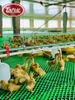 Lưới mắt cáo xanh - Phù Hợp Mọi Trang Trại Chăn Nuôi