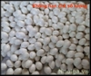 TRỨNG BỒ CÂU GIẢ BẰNG NHỰA