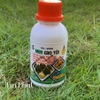 MEN TIÊU HÓA SỐNG CAO TỎI