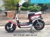 Xe điện gianya lucky - 02