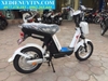 Xe đạp điện Nijia 2020 - 03