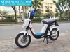 Xe đạp điện Nijia 2020 - 02