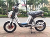 Xe đạp điện Nijia 2021 - 01