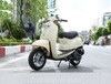 Xe ga 50cc Scoopy - 01