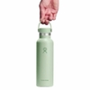 Bình giữ nhiệt Hydro Flask Standard Flex Cap 21OZ 621ml S21CSX