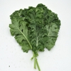 Cải xoăn (500g)