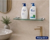 KỆ KÍNH ĐỰNG MỸ PHẨM -31005 CLEANMAX