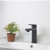VÒI CHẬU RỬA MÀU ĐEN - RL61128 CLEANMAX