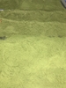 YOMOGI POWDER