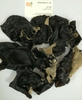 Dried wood-ears