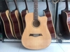 Guitar acoustic WGA100 - guitar giá rẻ - NHẠC CỤ MIỀN TÂY