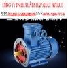 MOTOR GIẢM TỐC PHÒNG CHÁY NỔ EX