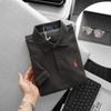 PRL - Áo Polo Cộc Tay Dáng Slim Fit - 2025AP109