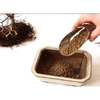 1kg-dat-nhat-trong-bonsai-thuy-sinh-sen-da