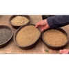 1kg-dat-nhat-trong-bonsai-thuy-sinh-sen-da