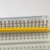 chan-han-duc-40p-mau-vang