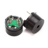 coi-bao-dong-tu-tinh-rung-thu-dong-3v-12v