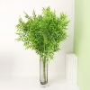 canh-tre-canh-truc-gia-bang-nhua-dai-45cm-loi-kim-loai-rong-20cm