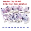 day-bus-cap-ket-noi-xh2-54mm-2-dau-dai-30cm