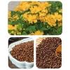 3kg-hat-muong-cho-be-choi