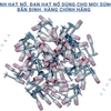 may-ban-dinh-hat-no-the-he-moi-sung-ban-dinh-be-tong