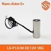 nam-cham-dien-12v-24v-nhieu-kich-thuoc-luc-hut-khoe