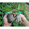 sieu-kich-re-noi-dia-trung-polypeptide-rooting-powde-goi-30gr