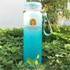 Sỉ In Logo Bình Thủy Tinh 500ML BTT10