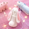 Túi Đựng Bình Nước Giữ Nhiệt Thỏ , Gấu , Khủng Long , Heo , Unicorn T63