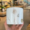 Ly Sứ Starbucks Mermaid 355ML C314