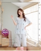 Đồ ngủ nữ - Đồ bộ lửng có tay mặc nhà đẹp chất cotton lụa mịn mát phối ren công chúa MÀU xanh và hồng