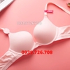 Bộ đồ lót cotton trơn đệm vừa cao cấp