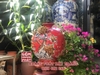 Bình hút tài lộc Thuận buồm xuôi gió nền đỏ đắp nổi Bát Tràng cao H38cm