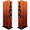 ProAc Carbon Pro 6
