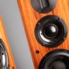 ProAc Carbon Pro 6