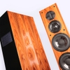 ProAc Carbon Pro 6