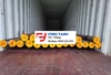TRỤC THÉP RÈN SF55 LÀM TRỤC CHÂN VỊT ĐÓNG TÀU
