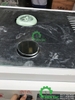 Tủ sấy công nghiệp 12 khay CY-HPJ-12