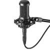 Micro Audio Technica AT2035