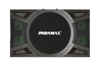 P-1000  Loa Karaoke 10-inch