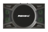 P-2000 Loa Karaoke 12-inch