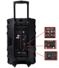 Loa Temeisheng DP 2398