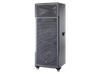 Loa 3 tấc đôi Dalton TS-12G900N