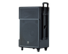 Loa 4 tấc Dalton TS-15G500U