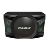 P-2500 Loa Karaoke 12 inches