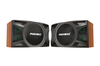 LX-1200 Loa Karaoke 10-inch