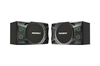 P-1000  Loa Karaoke 10-inch