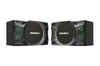 P-2000 Loa Karaoke 12-inch
